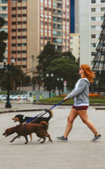passeio